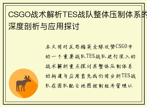 CSGO战术解析TES战队整体压制体系的深度剖析与应用探讨